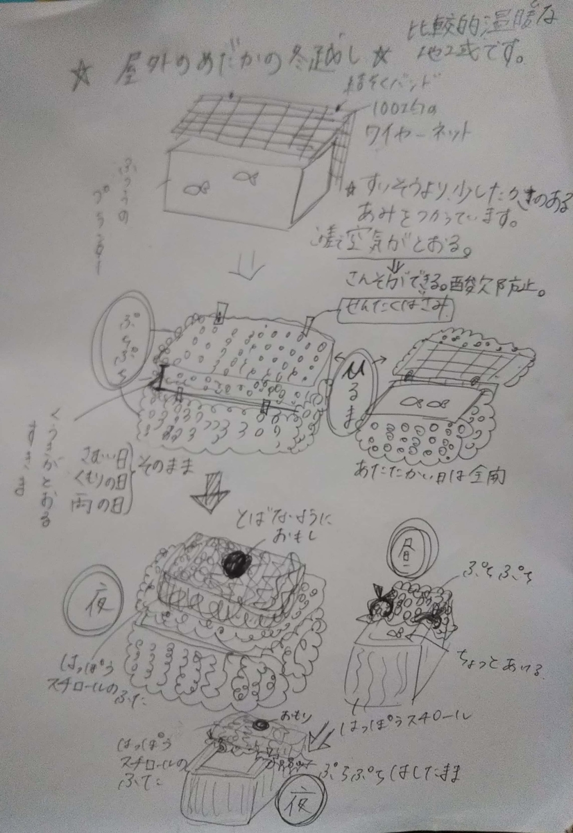 f:id:hotatehotatehotateho:20211129231634j:plain