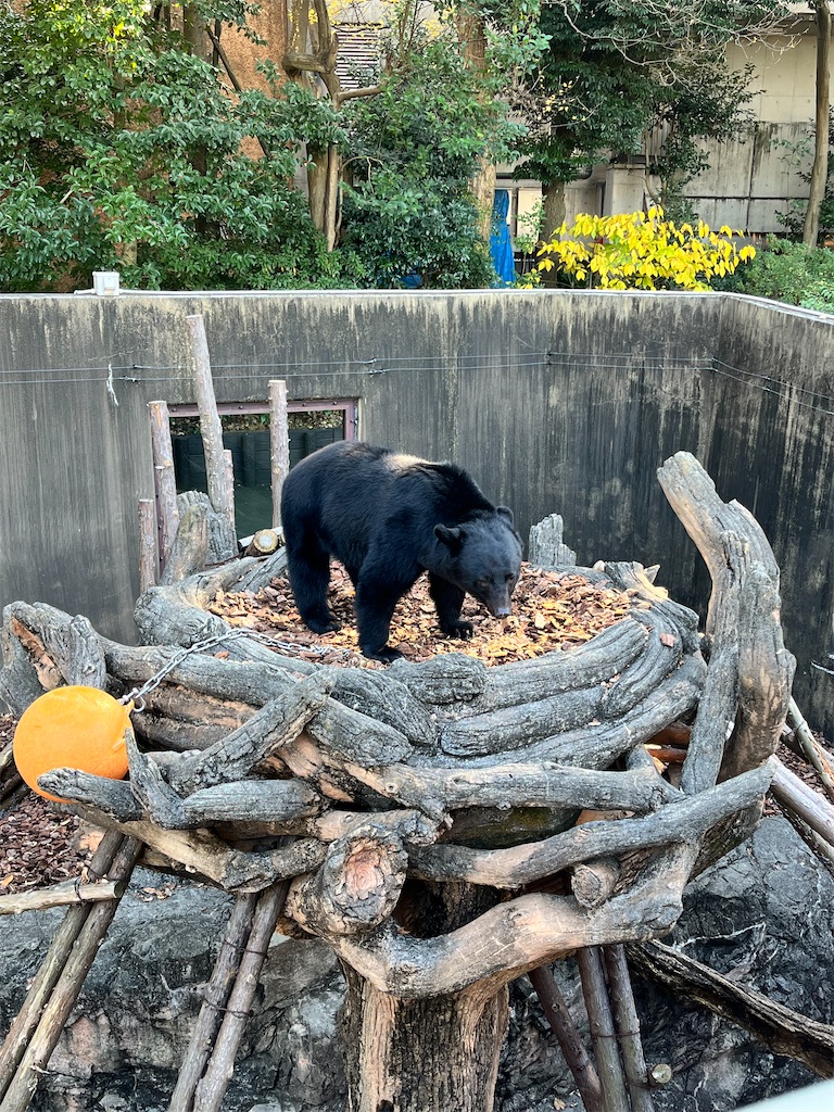 f:id:hotawo:20211215214937j:image