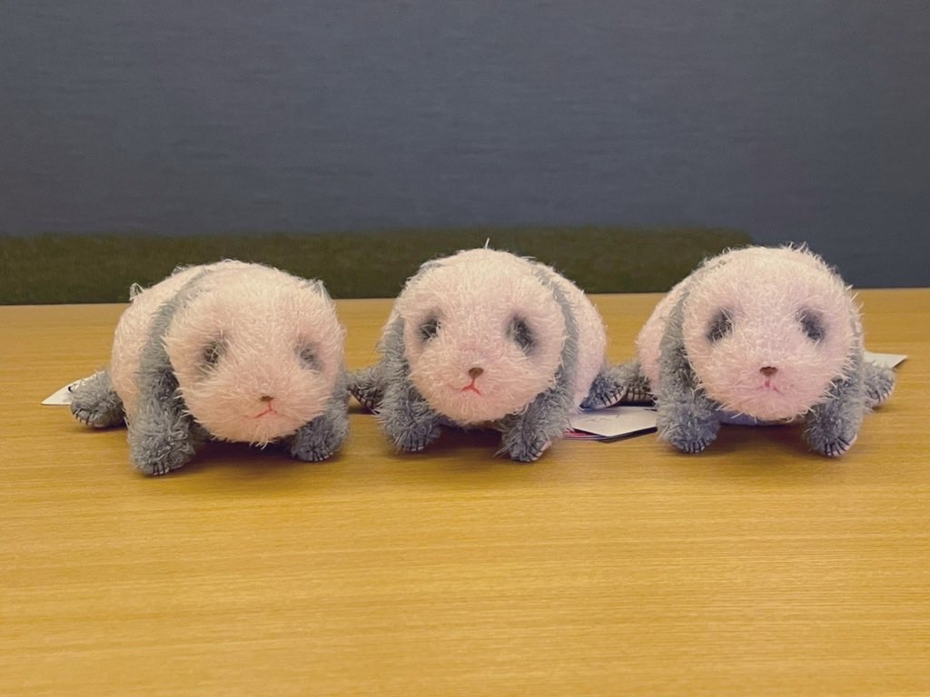 f:id:hotawo:20211215215639j:image