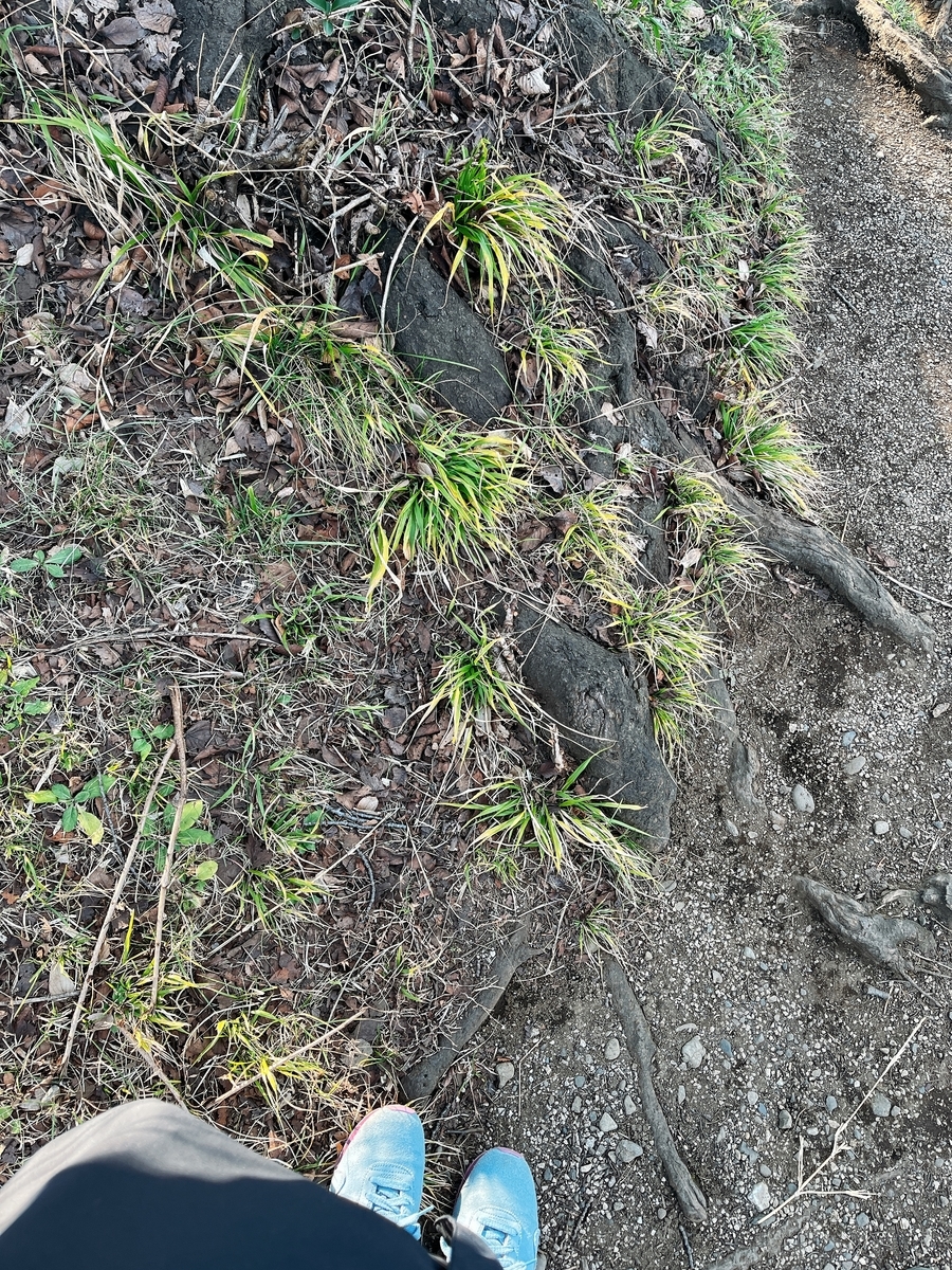 f:id:hotawo:20211226155547j:plain