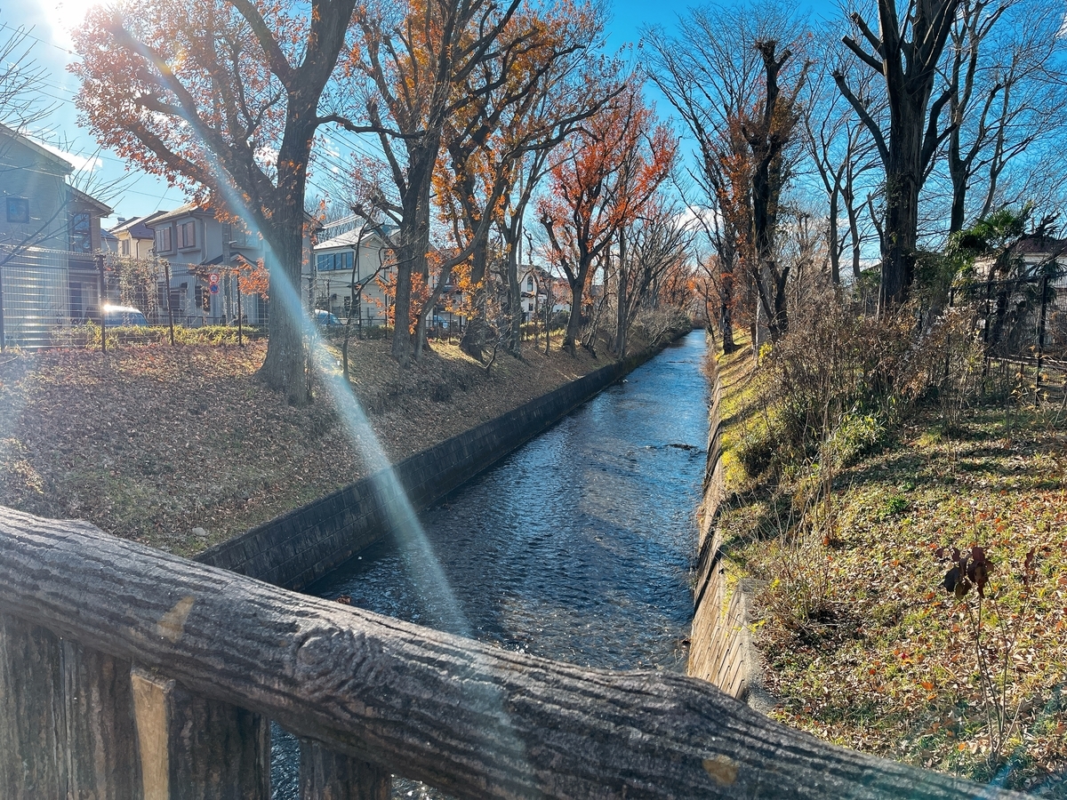 f:id:hotawo:20211226155658j:plain