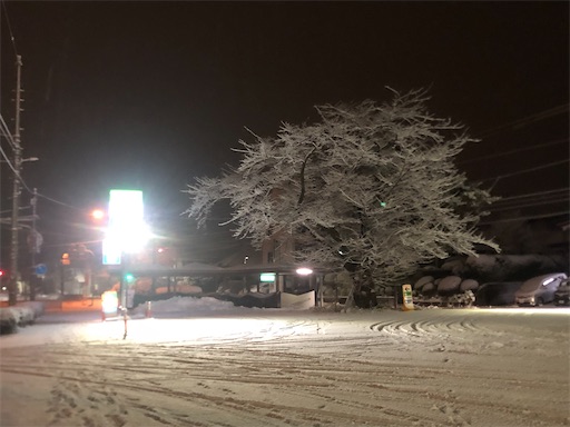 f:id:hotcoffeeS:20201218232725j:image f:id:hotcoffeeS:20201218232725j:image