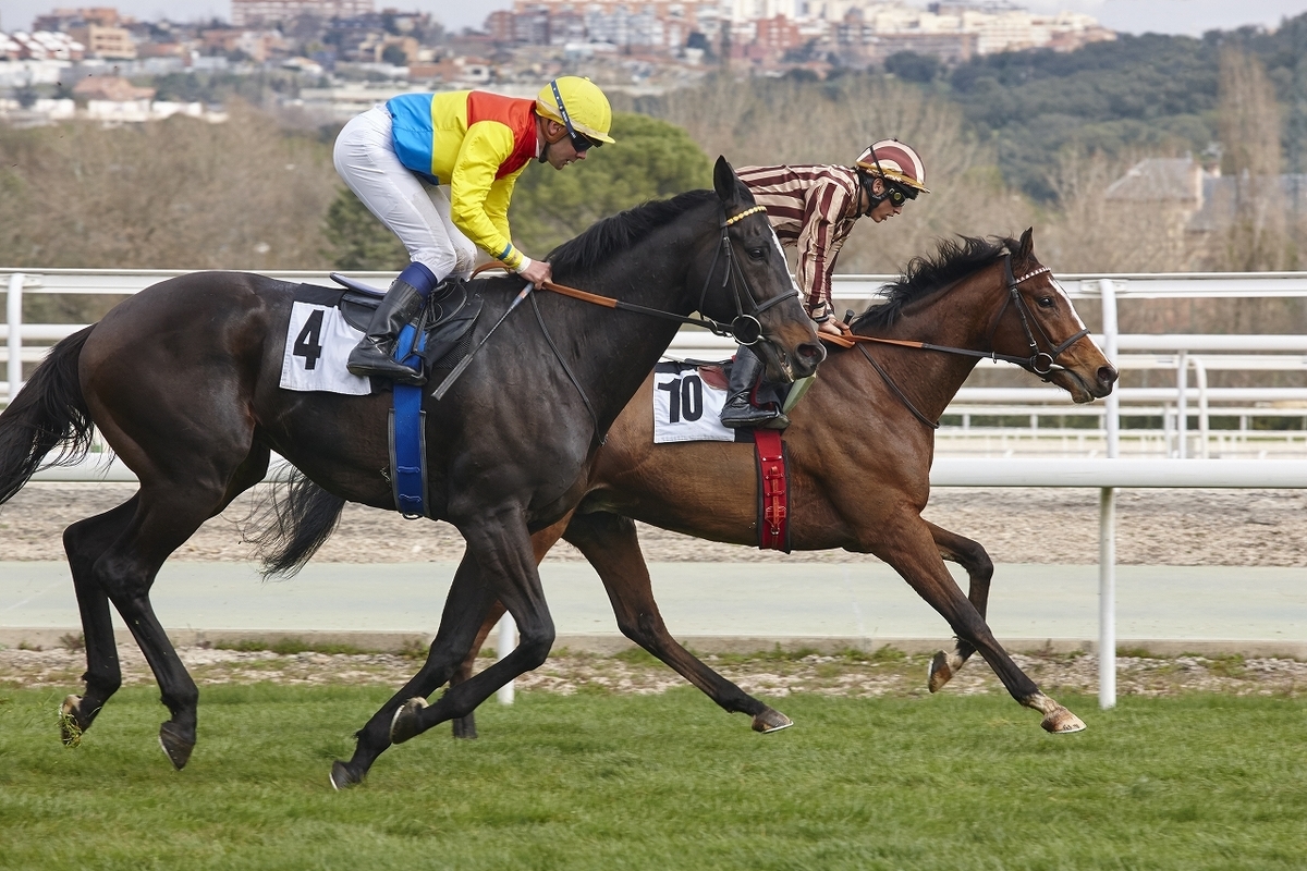 競馬の予想ブログを書く