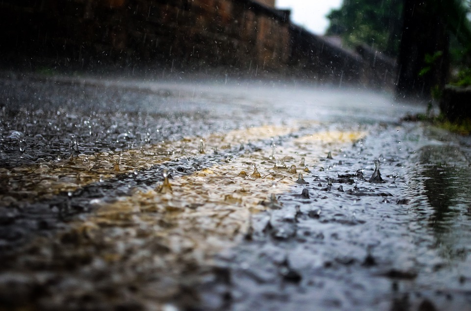 雨