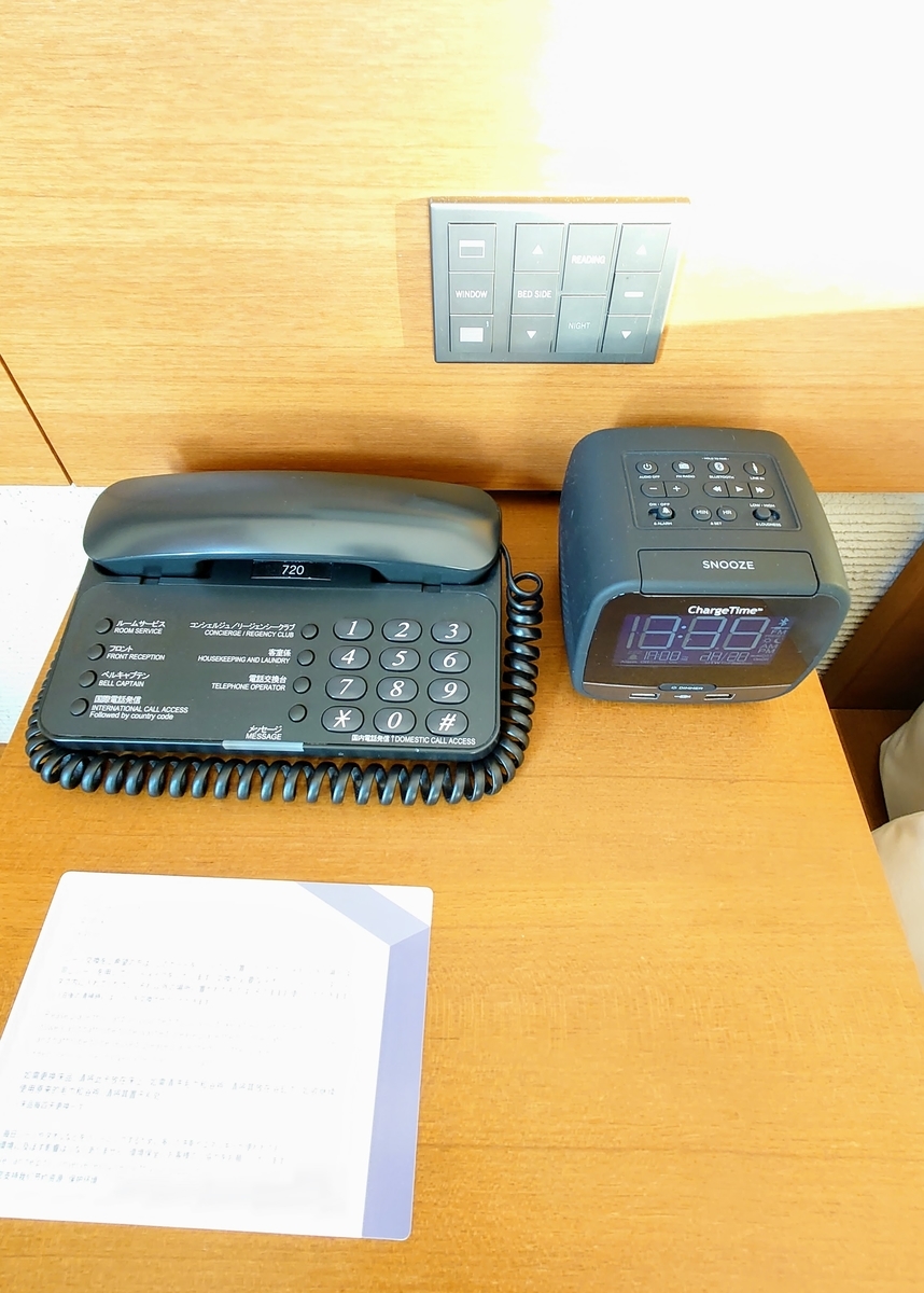 f:id:hoterupo:20211230233032j:plain