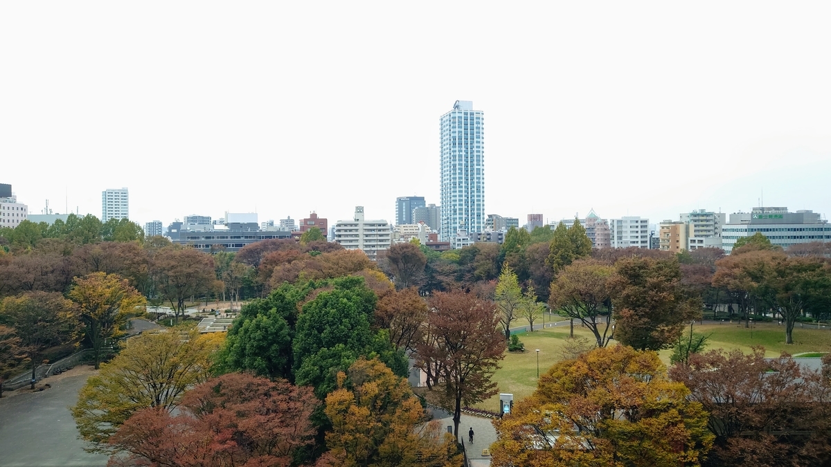 f:id:hoterupo:20211230234339j:plain