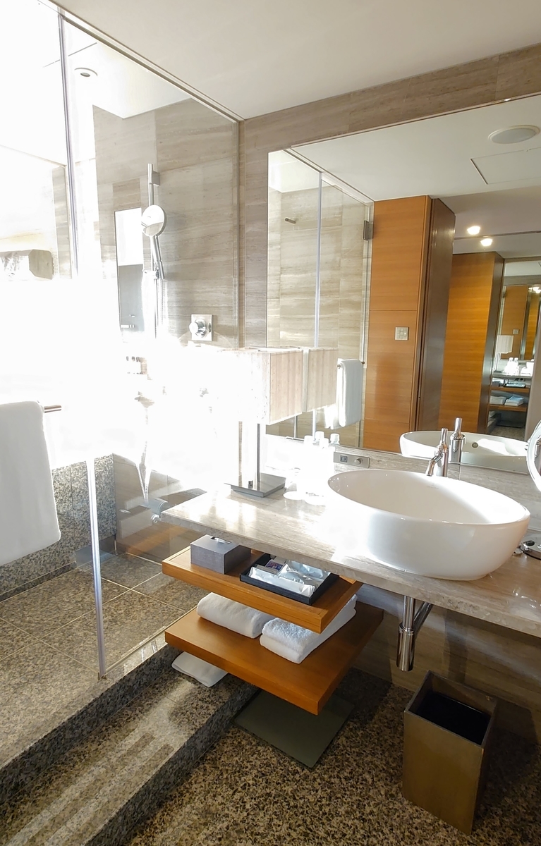 f:id:hoterupo:20211231002431j:plain