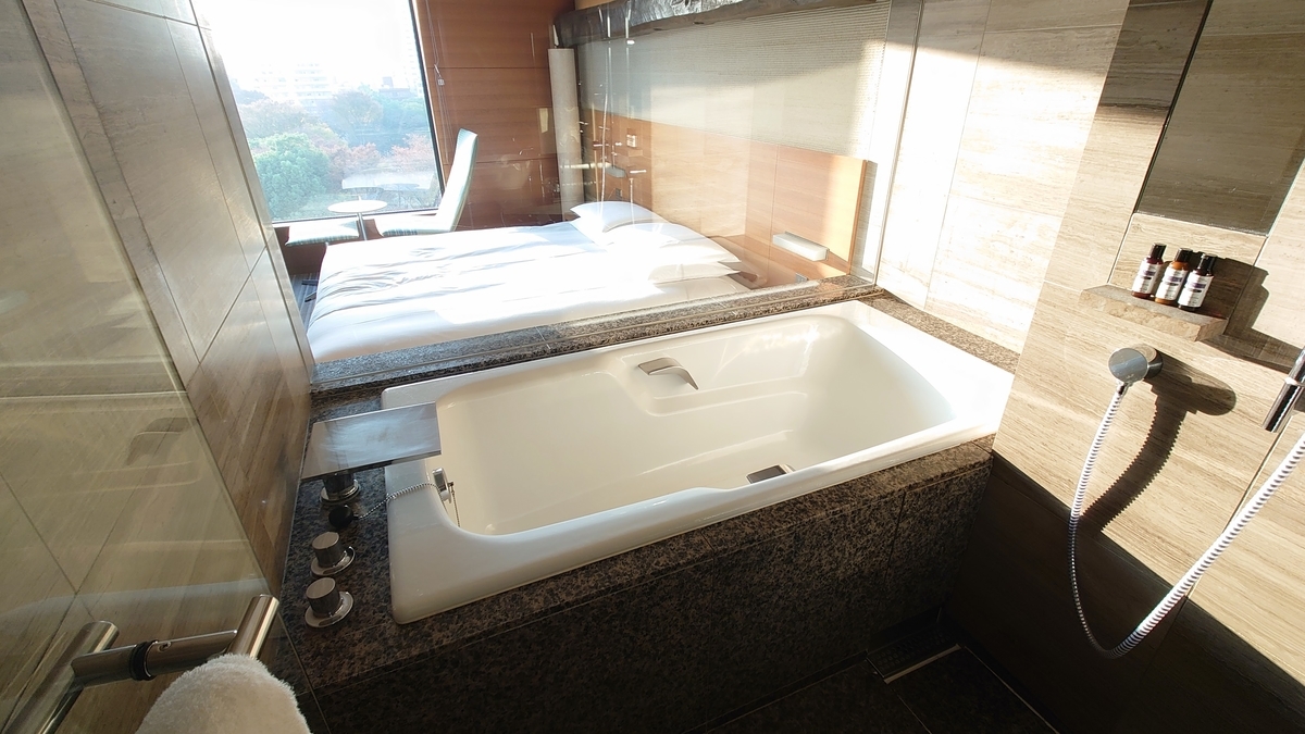 f:id:hoterupo:20211231002912j:plain