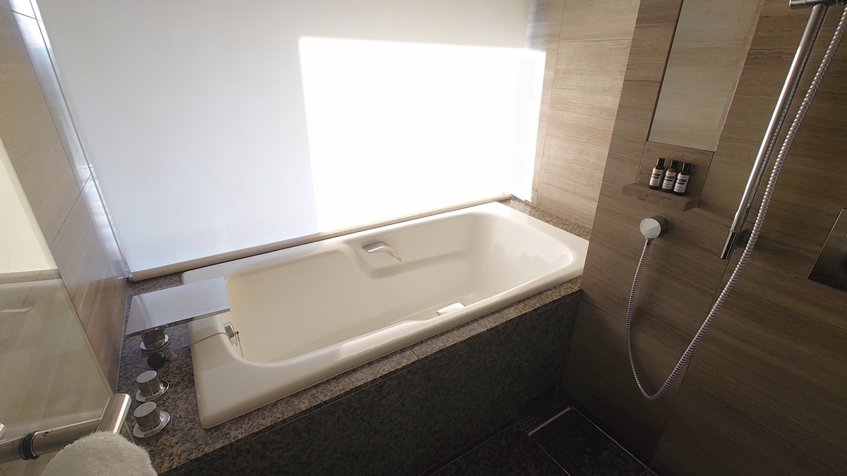 f:id:hoterupo:20211231003105j:plain