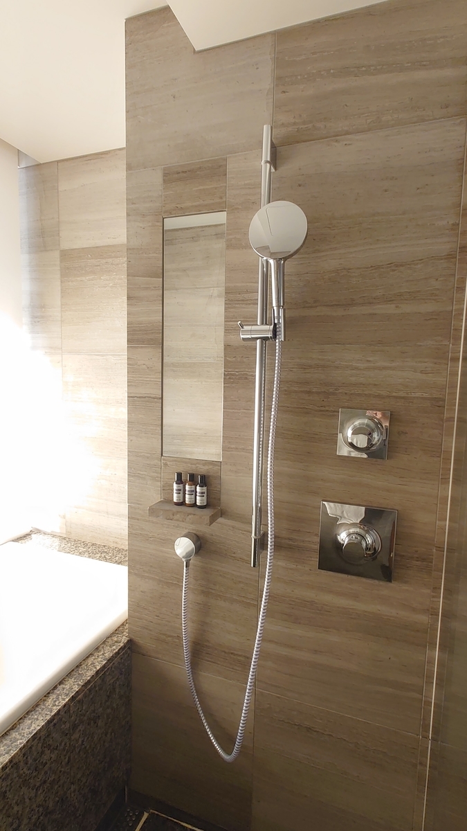 f:id:hoterupo:20211231003431j:plain