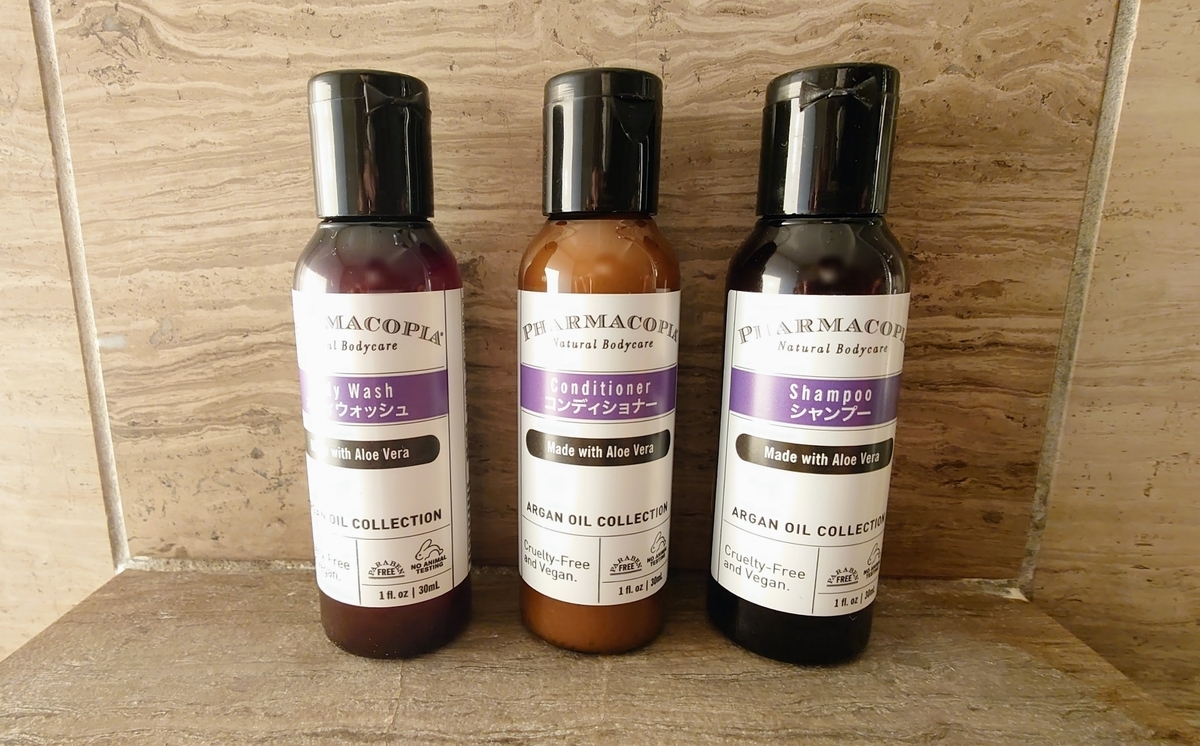 f:id:hoterupo:20211231010511j:plain