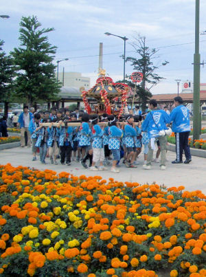 CIMG5461.JPG