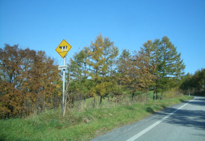 CIMG7405.JPG
