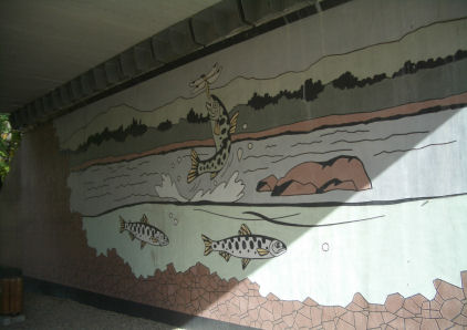 CIMG6255.JPG