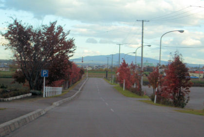 CIMG6353.JPG