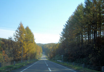 CIMG7389.JPG