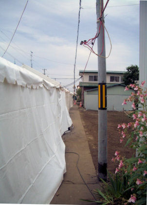 CIMG6239.JPG