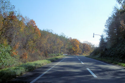 CIMG7391.JPG