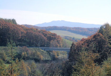 CIMG7400.JPG