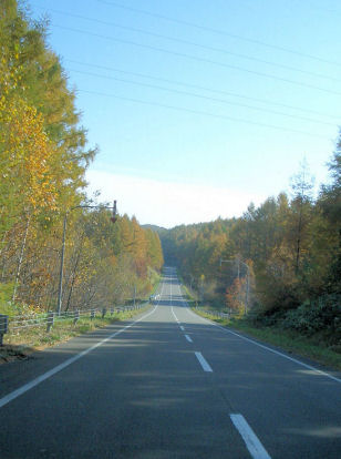 CIMG7390.JPG