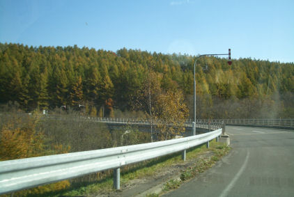 CIMG7395.JPG