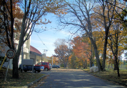 CIMG6694.JPG