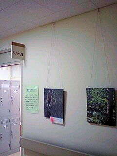 070720_1433~0001.jpg