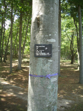 CIMG2874.JPG