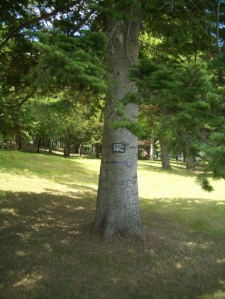 CIMG2877.JPG