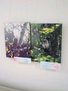 070720_1432~0004.jpg