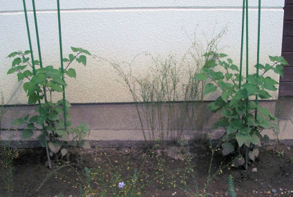 CIMG5744.JPG