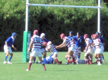 CIMG0675.JPG
