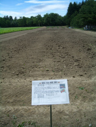 CIMG2872.JPG