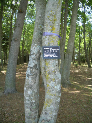 CIMG2876.JPG