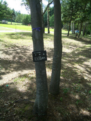 CIMG2875.JPG