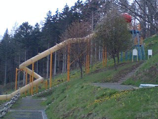 070514_1510~0002.jpg