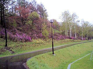070520_1049~0002.jpg 070520_1049~0002.jpg