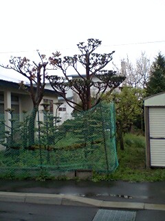 070520_1012~0001.jpg