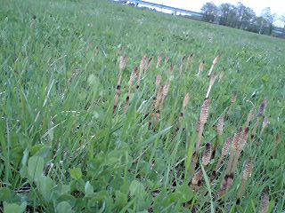 070520_1159~0001.jpg
