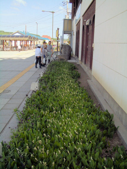 CIMG0348.JPG CIMG0348.JPG