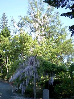 070617_1536~0001.jpg