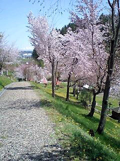 070521_1153~0001.jpg