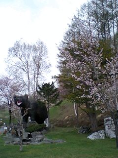 070514_1505~0003.jpg