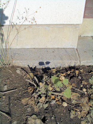 CIMG9531.JPG