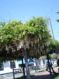 070617_1310~0002.jpg