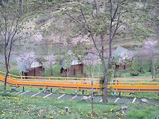070514_1510~0001.jpg