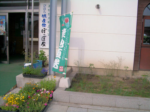 CIMG0937.JPG CIMG0937.JPG
