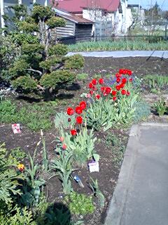 070522_0711~0001.jpg