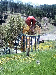 070521_1137~0002.jpg