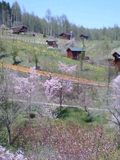 070521_1214~0001.jpg